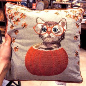 * Adorable Kitten with Glasses in Pumpkin Pillow *